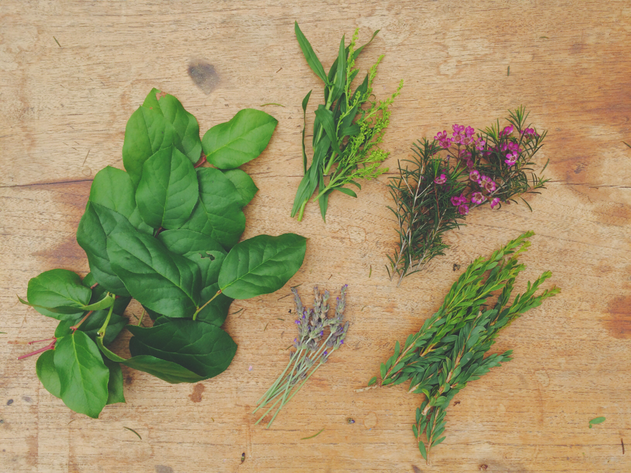 greenery for floral crown