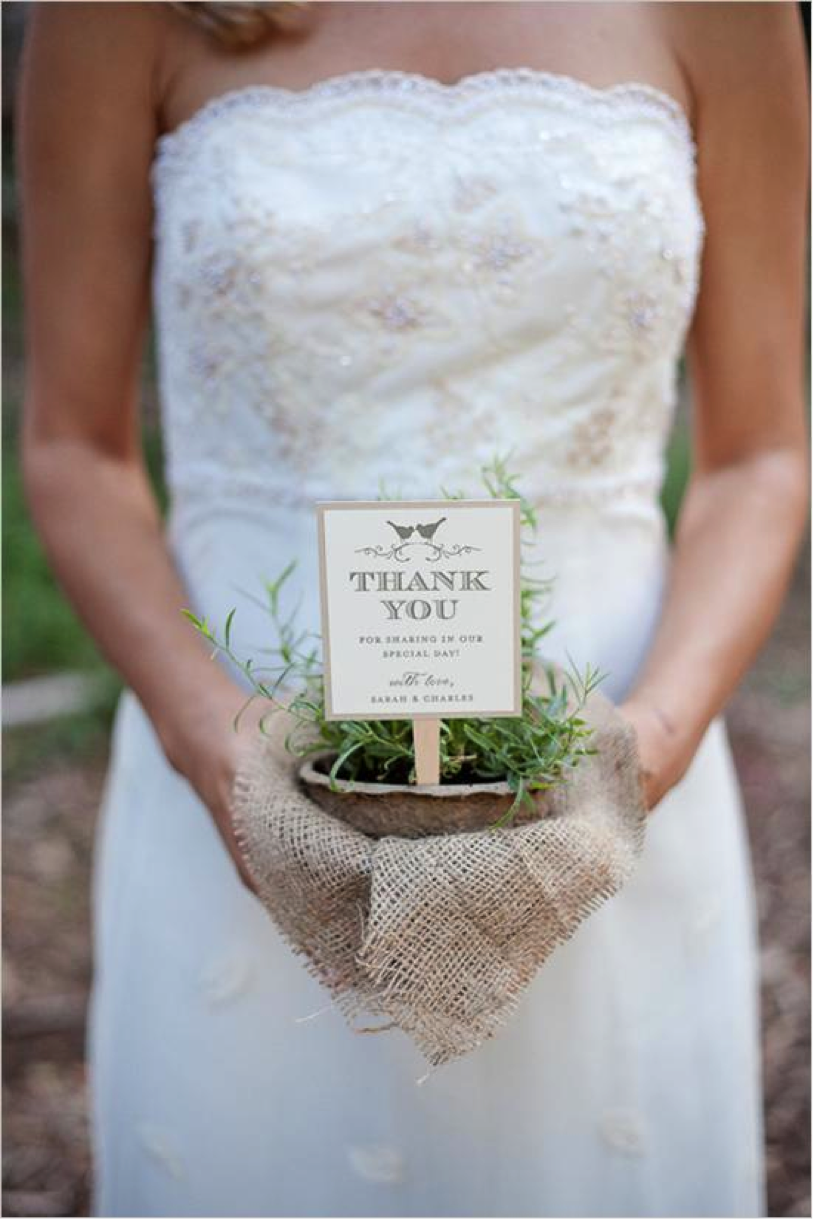 potted herbs wedding favor