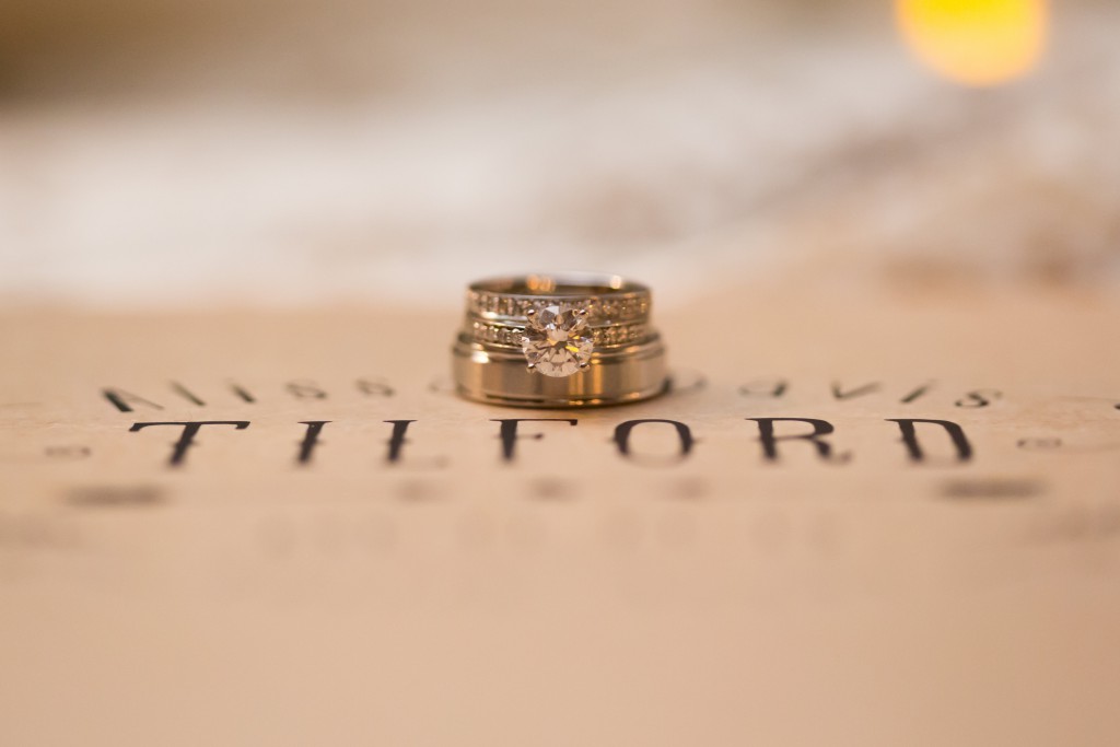 View More: http://nicoleryanphoto.pass.us/alissa-and-davis