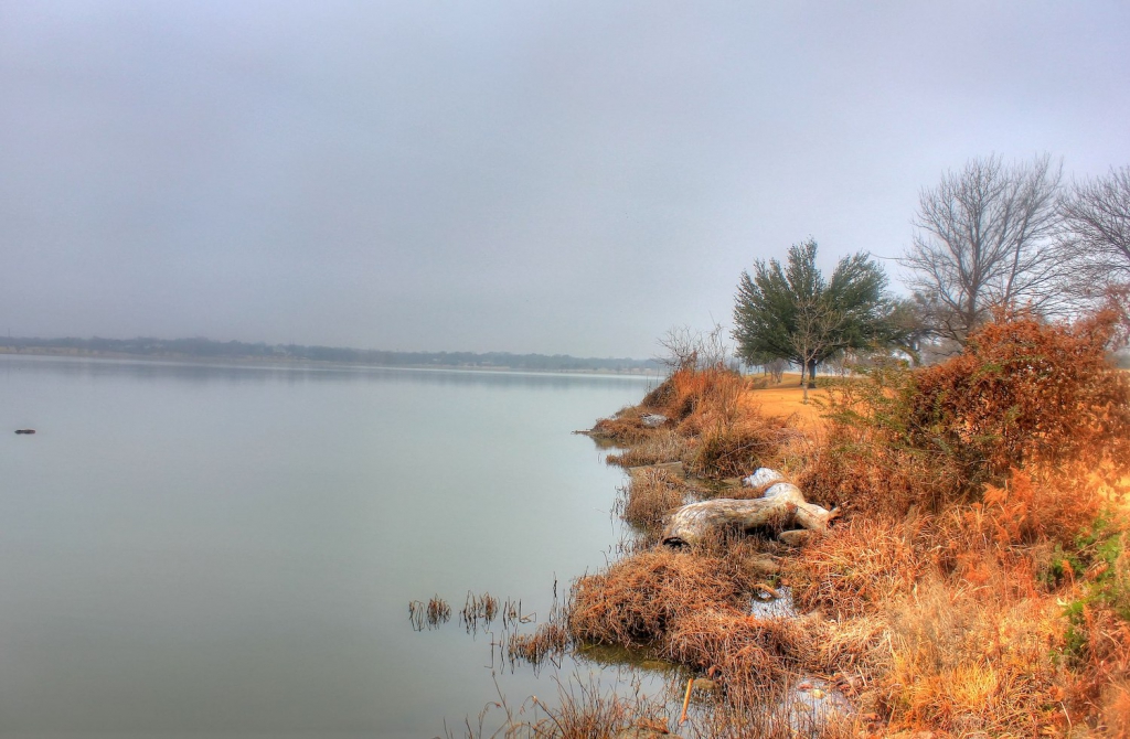 dallas proposal idea white rock lake