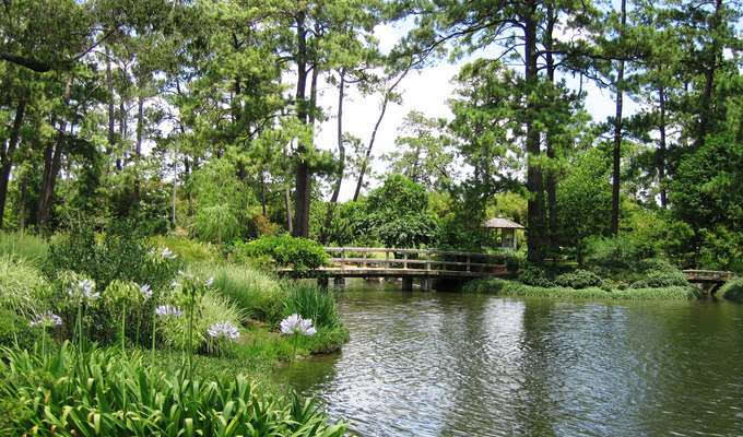 proposal idea houston japanese garden hermann park