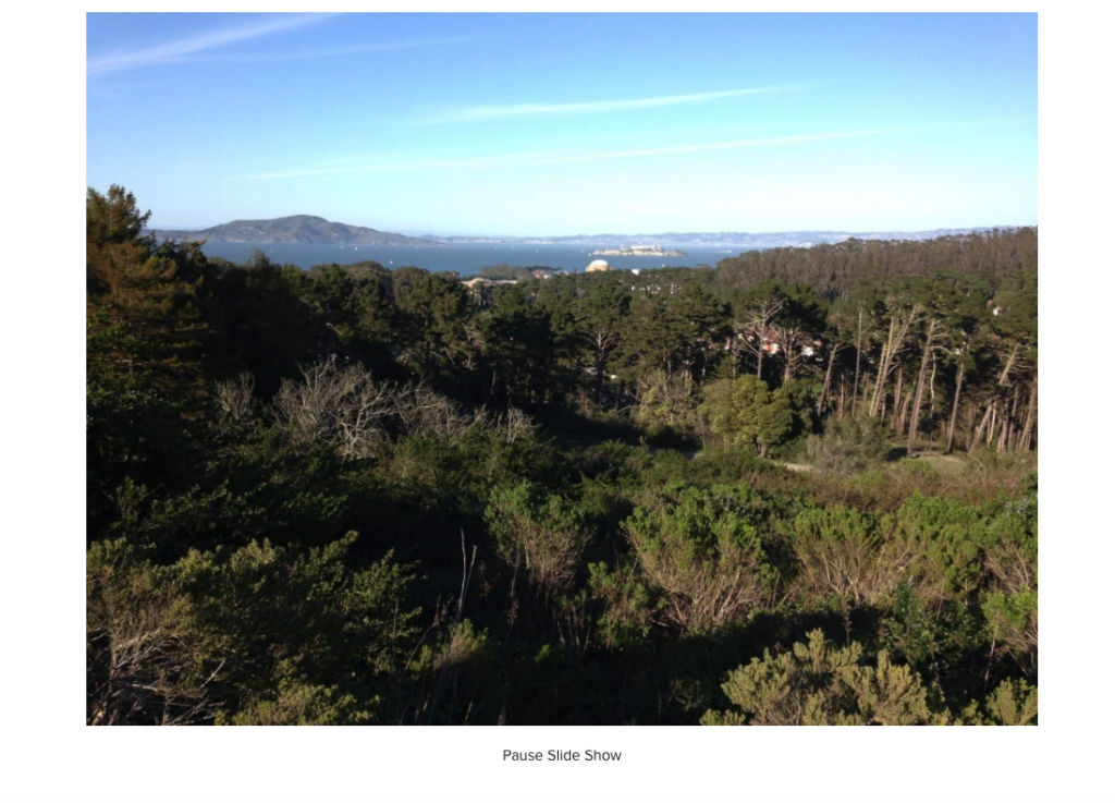 slideshow view