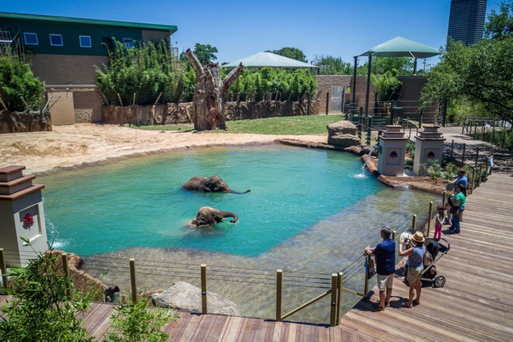 proposal idea houston zoo