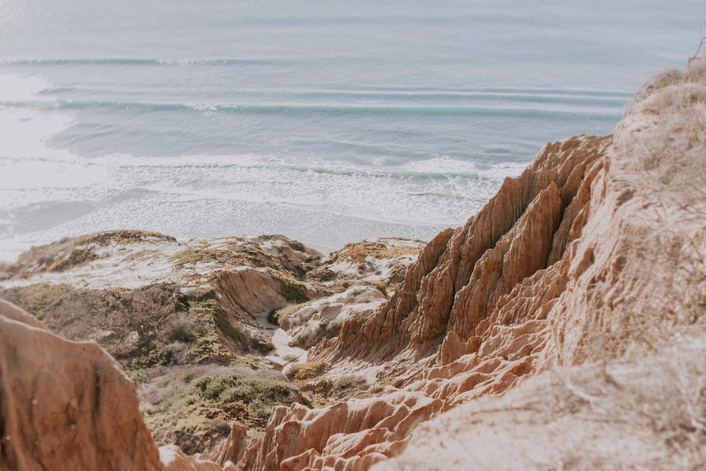 san diego proposal torrey pines