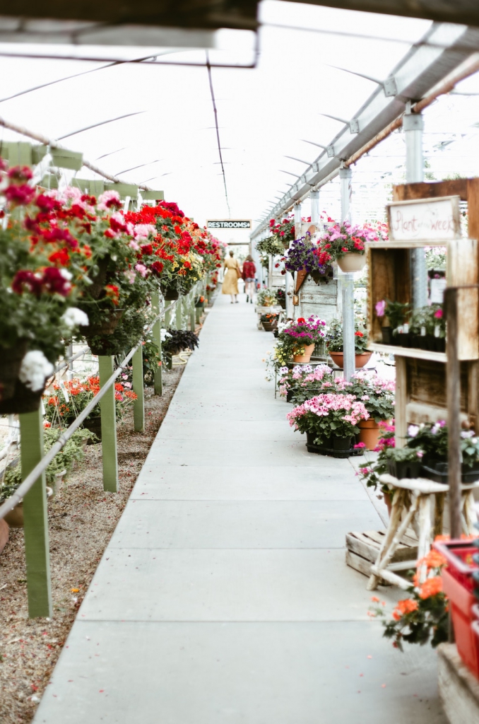 flower wholesale market