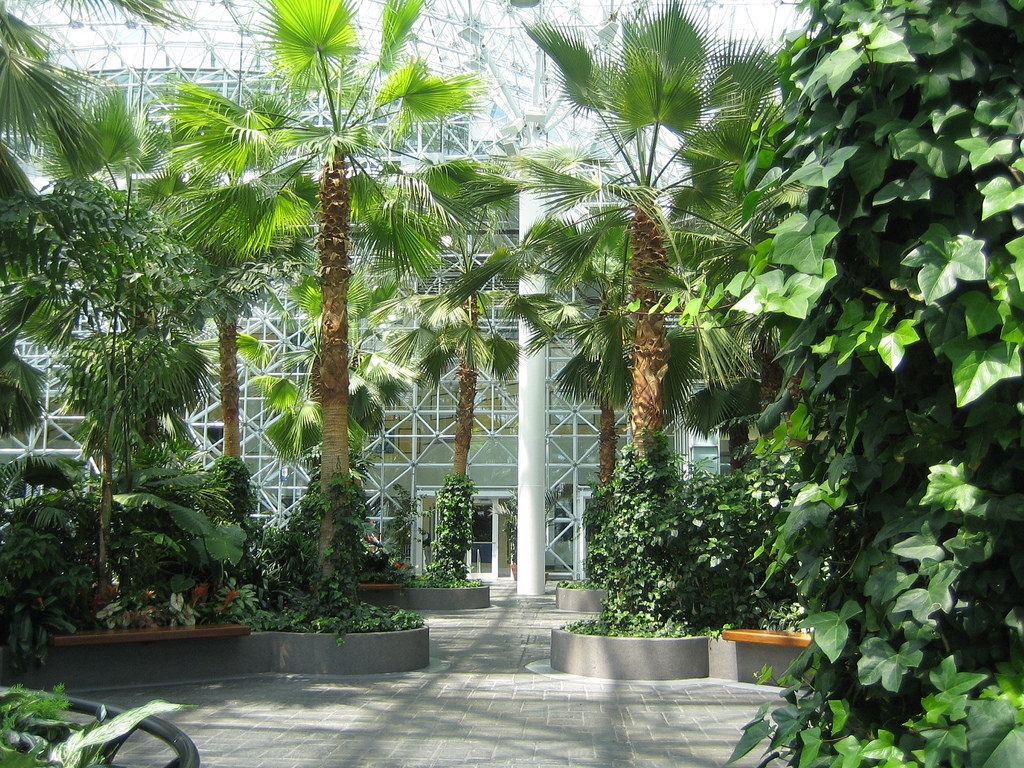 crystal gardens navy pier wedding