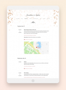joy wedding website schedule