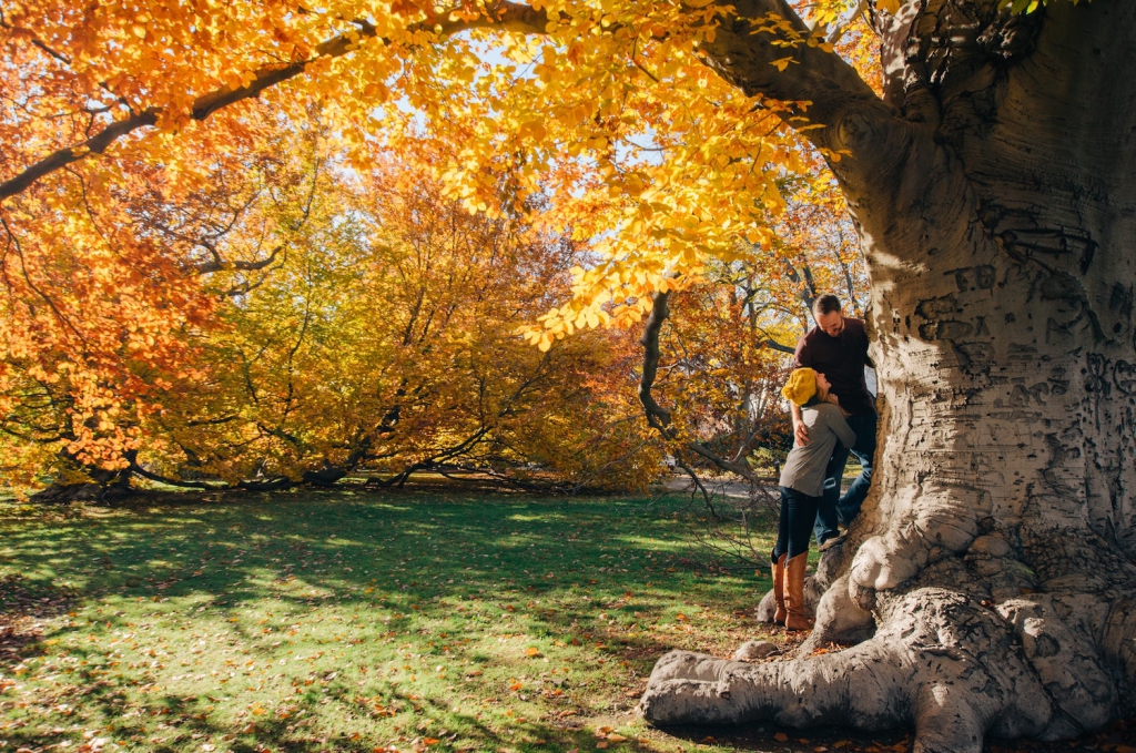 fall proposal idea park