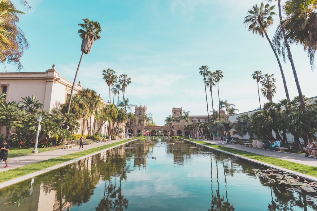 lily pond at balboa park in san diego california