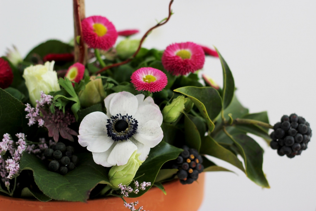 white anemone in potted planter