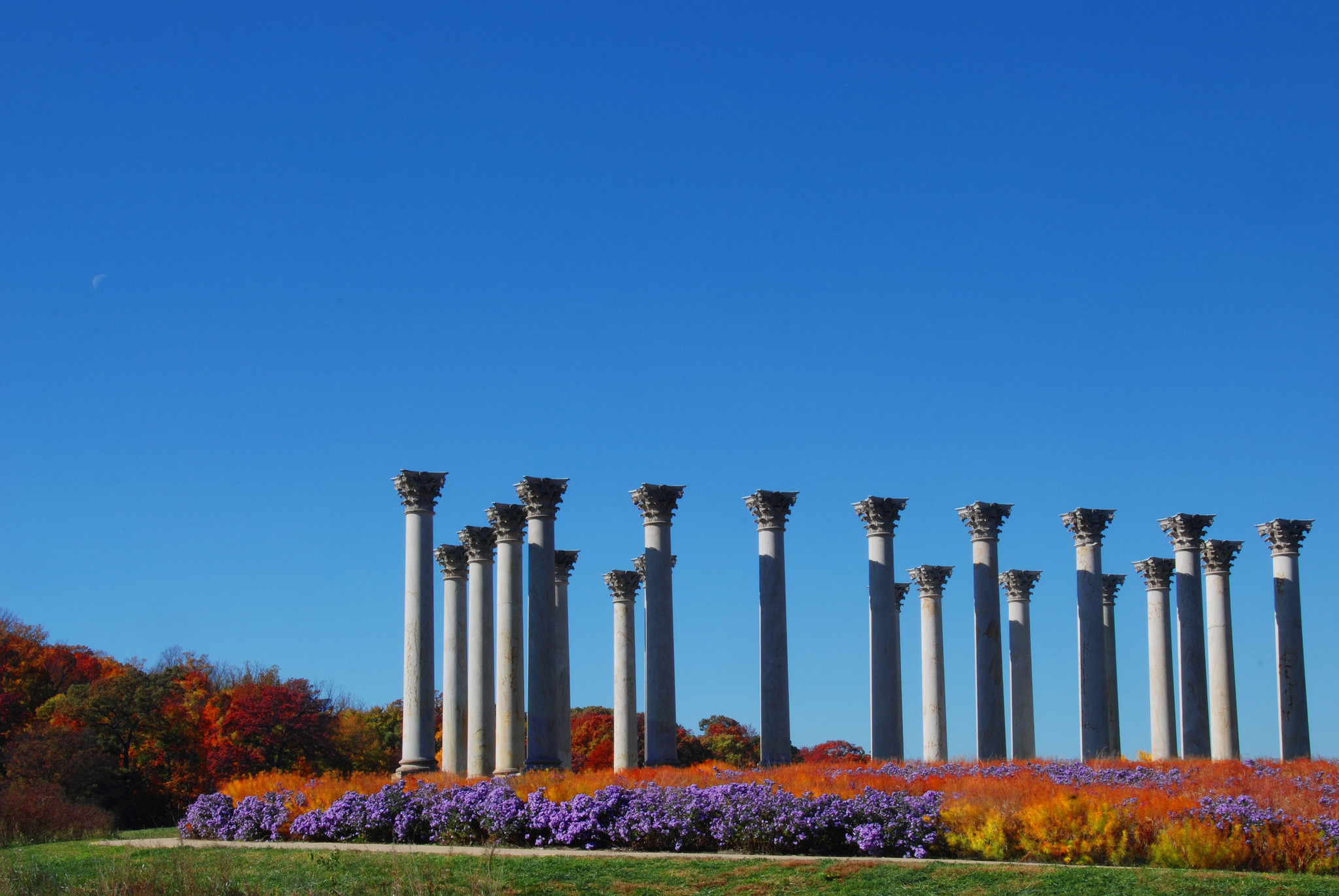 united states national arboretum wedding