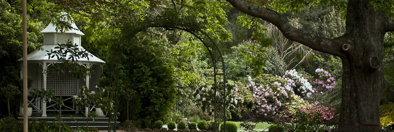poets lane weddings melbourne