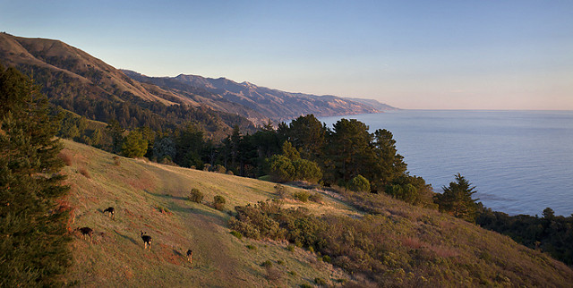 post ranch inn big sur wedding venues coastline