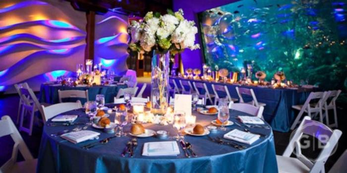seattle aquarium wedding