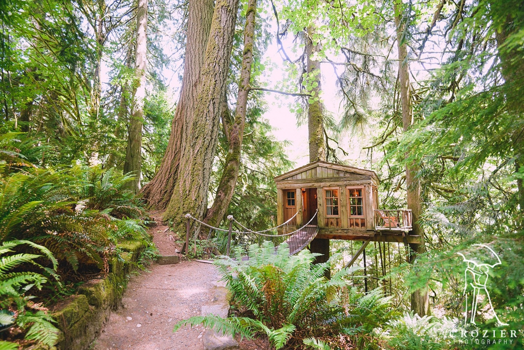 treehouse point seattle wedding venue