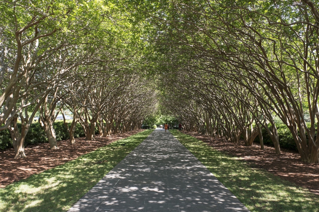 dallas proposal idea arboretum and botanical garden